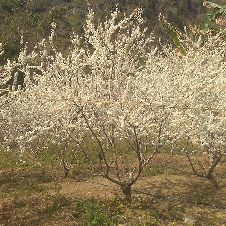 Trieu Chuong Homestay Cao Bang Εξωτερικό φωτογραφία