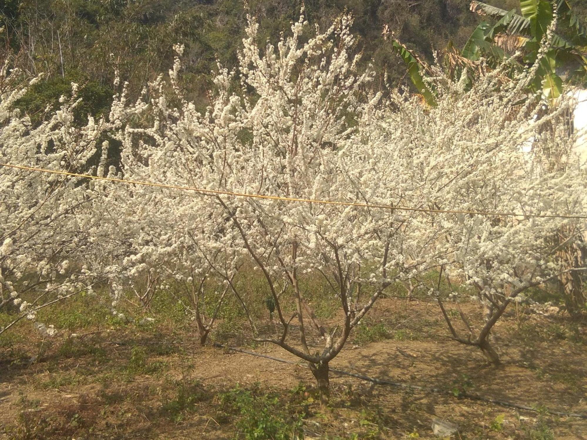 Trieu Chuong Homestay Cao Bang Εξωτερικό φωτογραφία